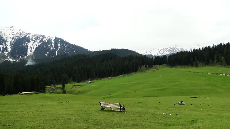 A bench overlooking the meadows of Doodhpathri