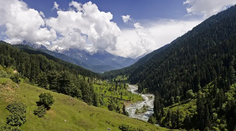 The Lidder valley at Pahalgam