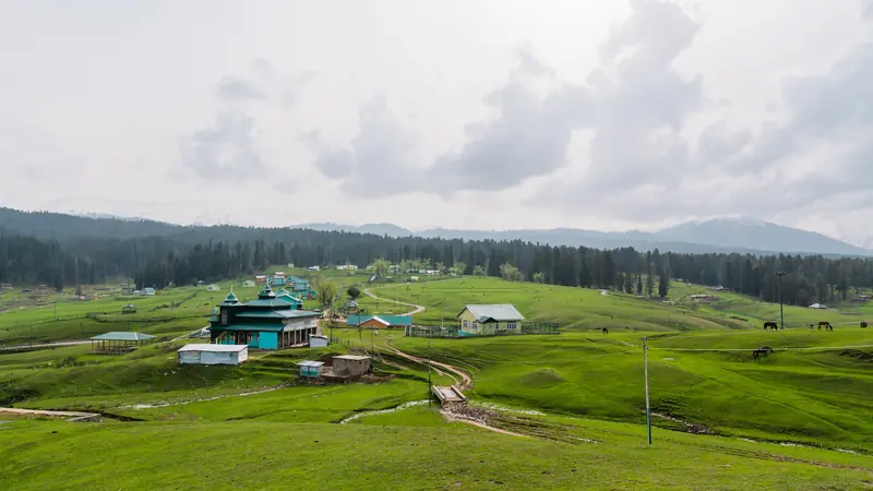 The meadow at Yusmarg